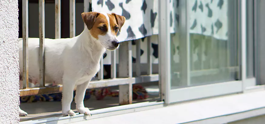 Best Pet Screen Door Repair in West Lealman, FL