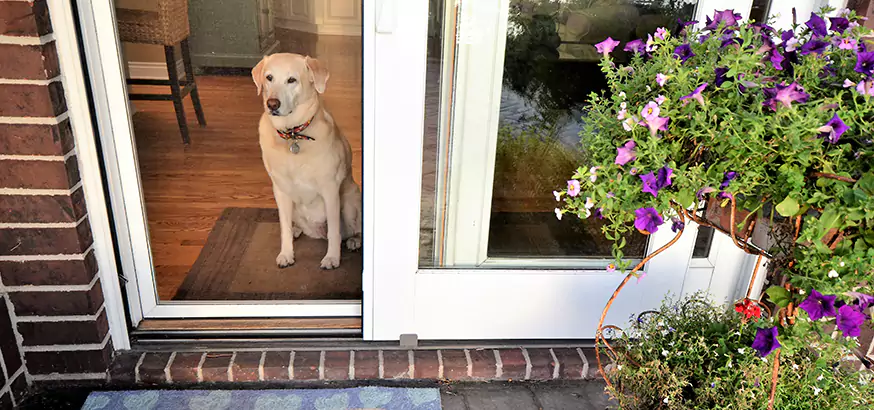 Best Sliding Backyard Door Repair in West Lealman, FL